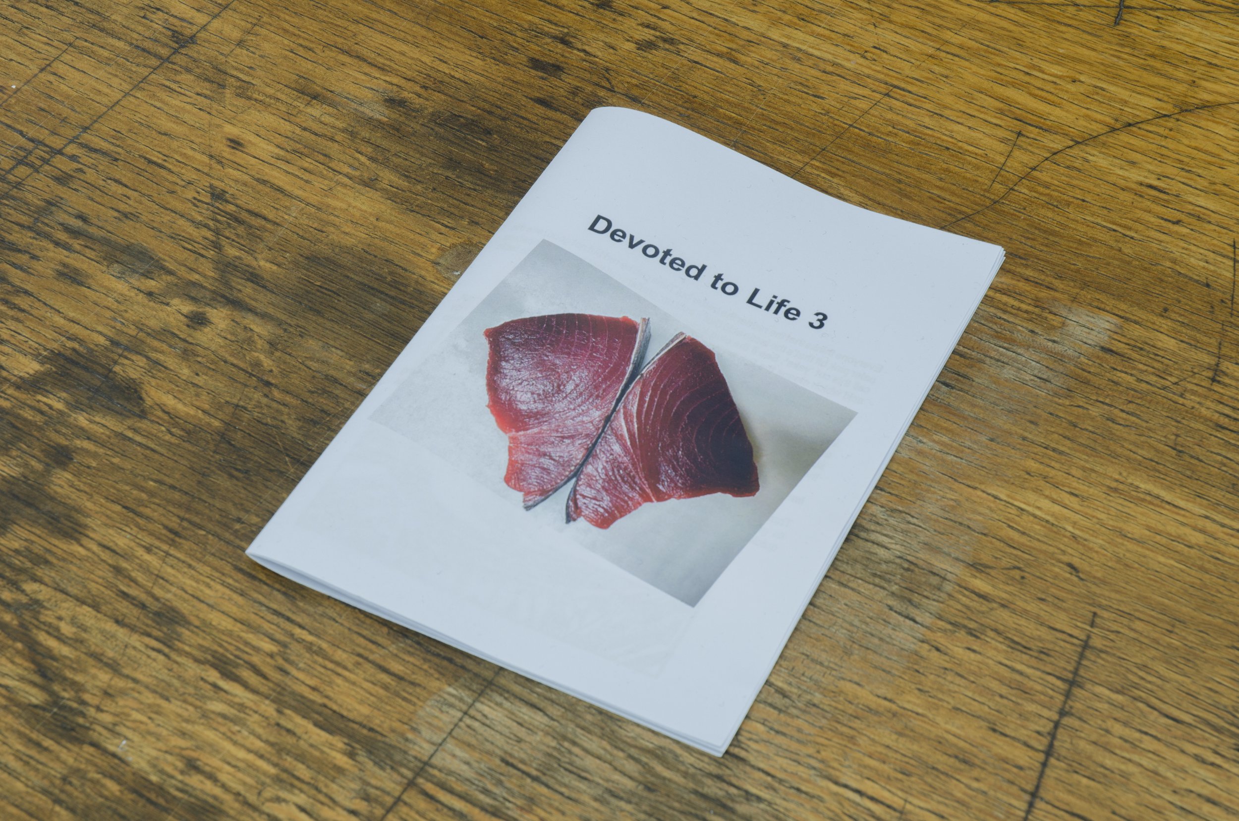 DEVOTED TO LIFE 3 AT TG